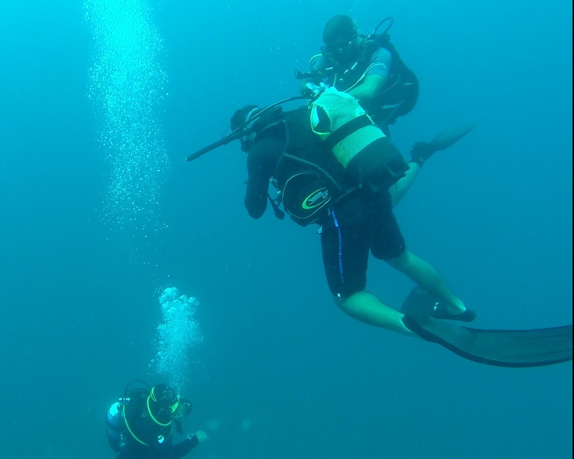 Plongée sous-marine